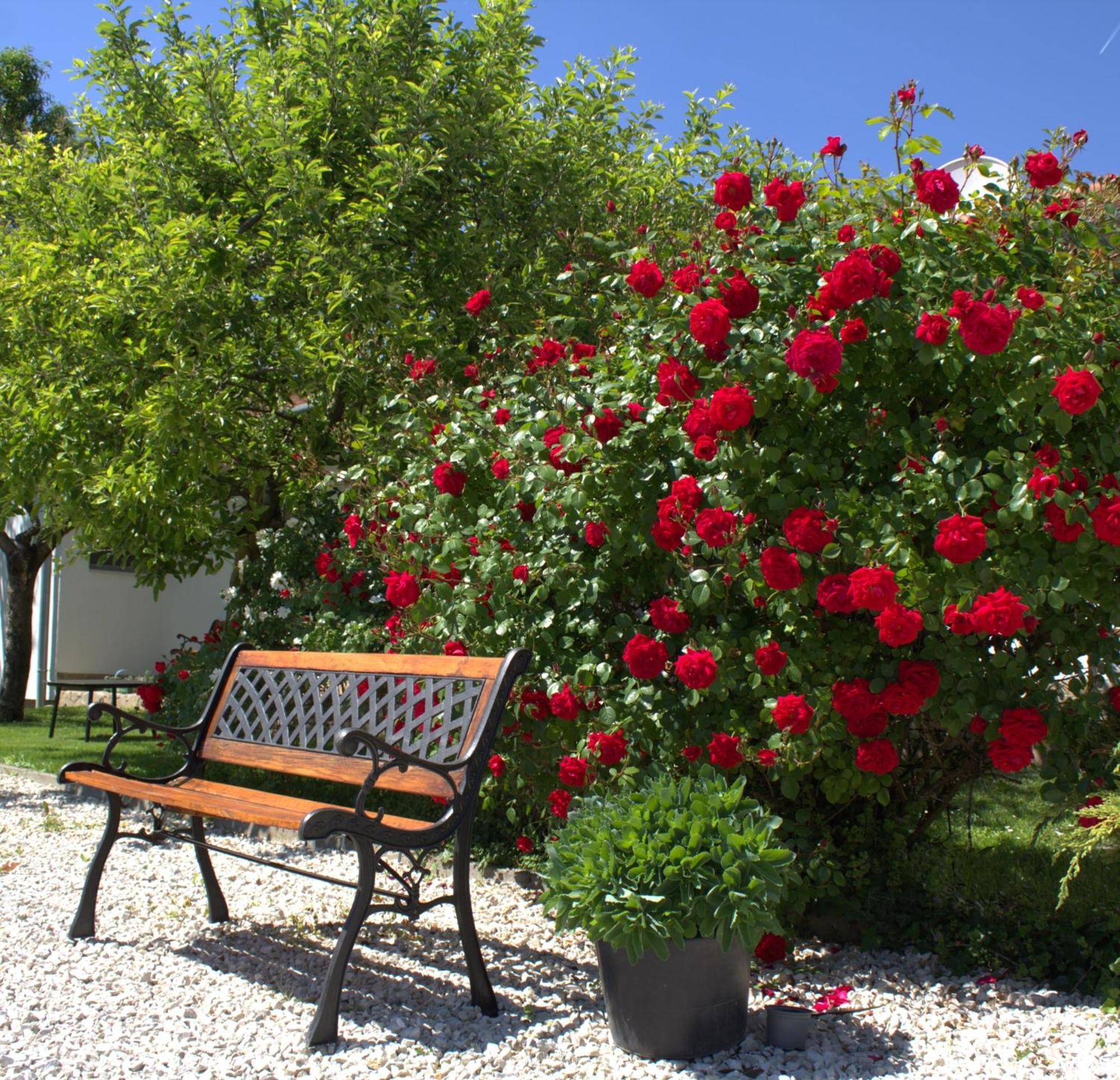The Secret Garden - Keszthely Bed & Breakfast Dış mekan fotoğraf